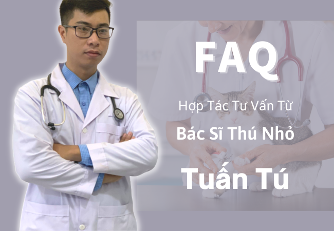 Các Câu Hỏi Thường Gặp - Tư Vấn Bởi Bác Sĩ Thú Nhỏ Nguyễn Tuấn Tú