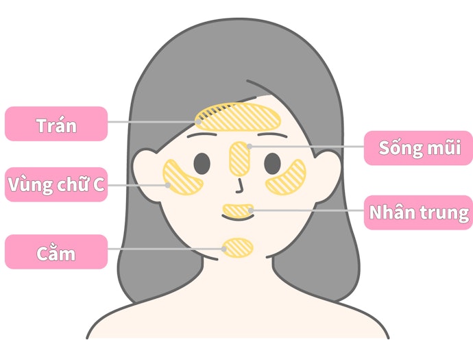 Cách Sử Dụng Highlight Dạng Thỏi
