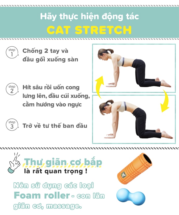 Các Bài Tập Hỗ Trợ Làm Mềm Cơ Lưng