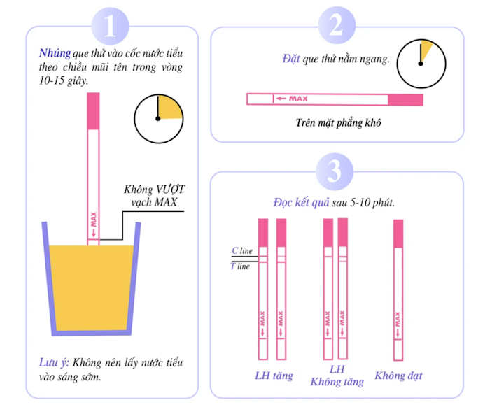 Cách Sử Dụng Que Thử Rụng Trứng