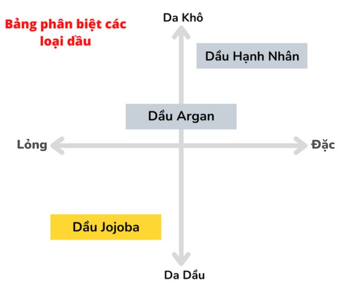 So Sánh Từng Loại Dầu Làm Đẹp