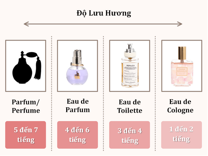 Eau de Parfum Là Gì?
