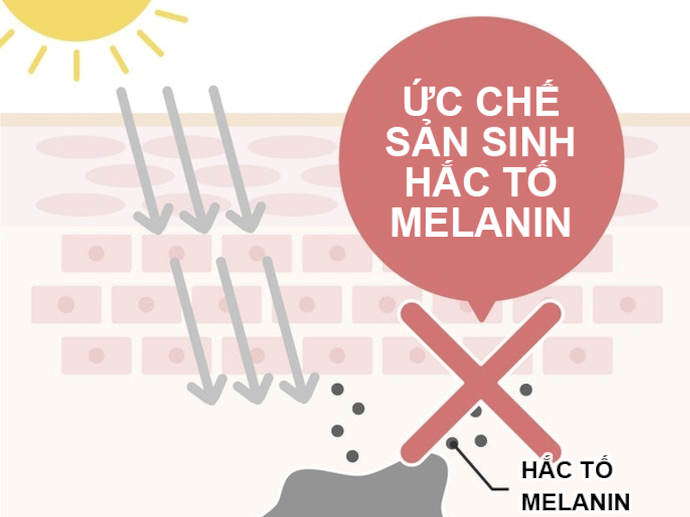 Serum Làm Trắng Da Có Những Tác Dụng Gì?