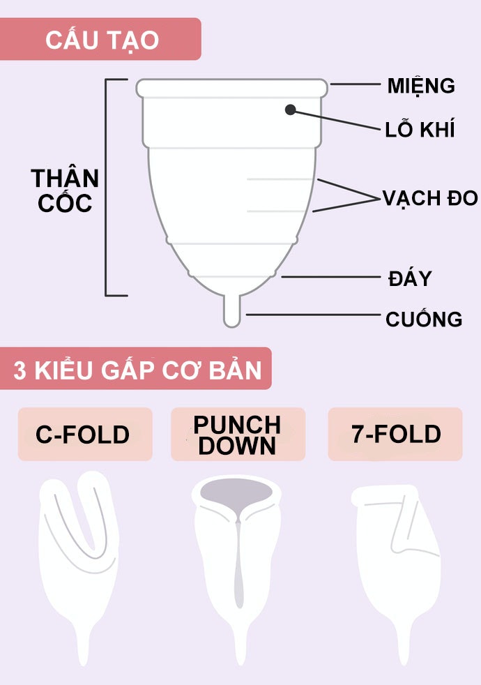 Các Bộ Phận Của Cốc Nguyệt San Và Cách Gọi Tên