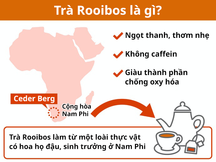 Trà Rooibos Là Gì? Lợi Ích Sức Khỏe Của Trà Rooibos