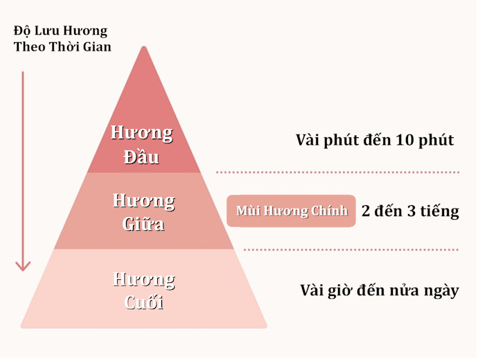 Sự Biến Đổi Mùi Hương Qua Các Tầng Hương