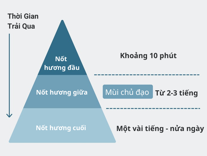 Mùi Hương Nước Hoa Có Thay Đổi Theo Thời Gian Không?