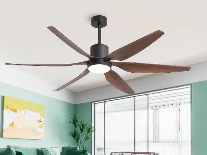 Công Dụng Của Quạt Trần