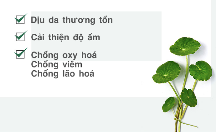 Công Dụng Của Toner Rau Má