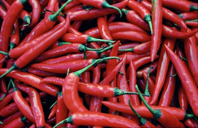 Tabasco Là Gì?