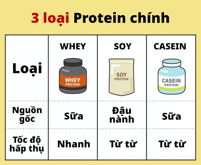 Có Loại Protein Nào? Đậu Nành Và Casein Có Gì Khác?