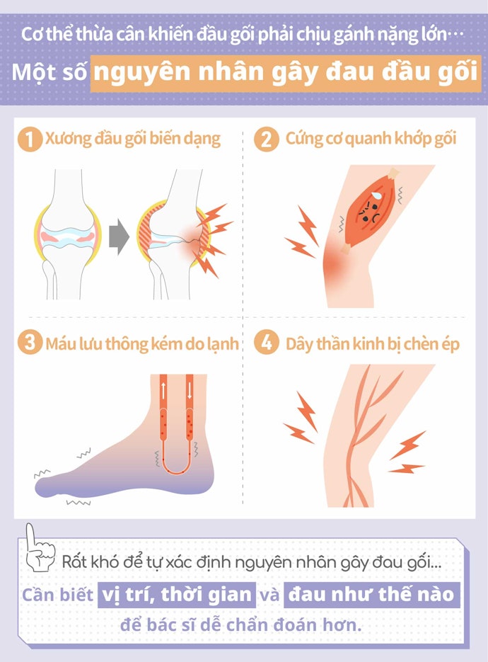 Nguyên Nhân Khiến Đầu Gối Đau Nhức Là Gì?