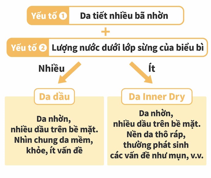 Phân Biệt Da Dầu Và Da Inner Dry