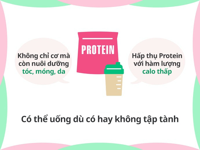 Vì Sao Protein Thích Hợp Cho Chế Độ Ăn Kiêng?