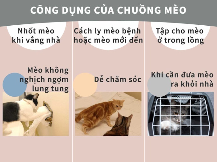 Lợi Ích Của Việc Sử Dụng Chuồng Mèo