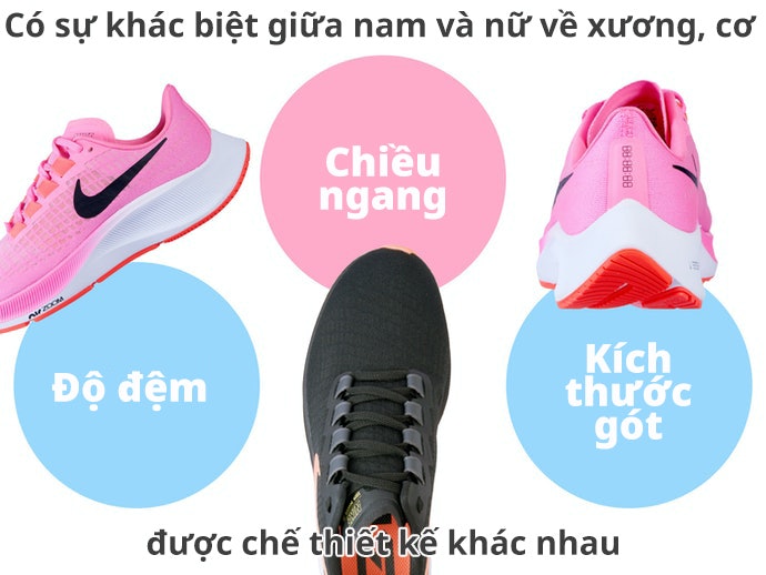 Điểm Khác Nhau Giữa Giày Chạy Bộ Nam Và Giày Chạy Bộ Nữ Là Gì?