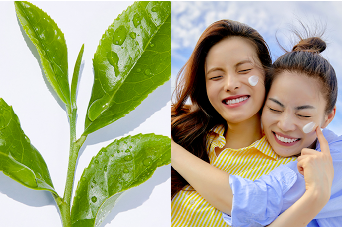 Sức Hút Của Innisfree Tại Thị Trường Việt Nam