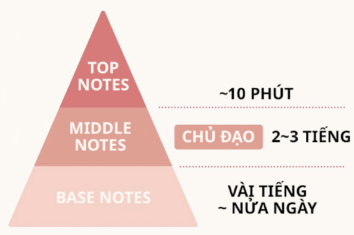 Khái Niệm Về Các Tầng Hương Của Nước Hoa