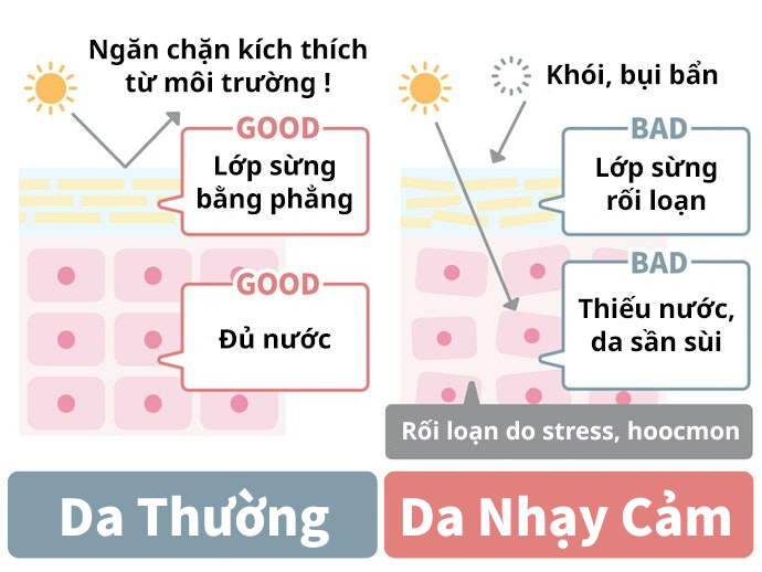 Thế Nào Là Da Nhạy Cảm?