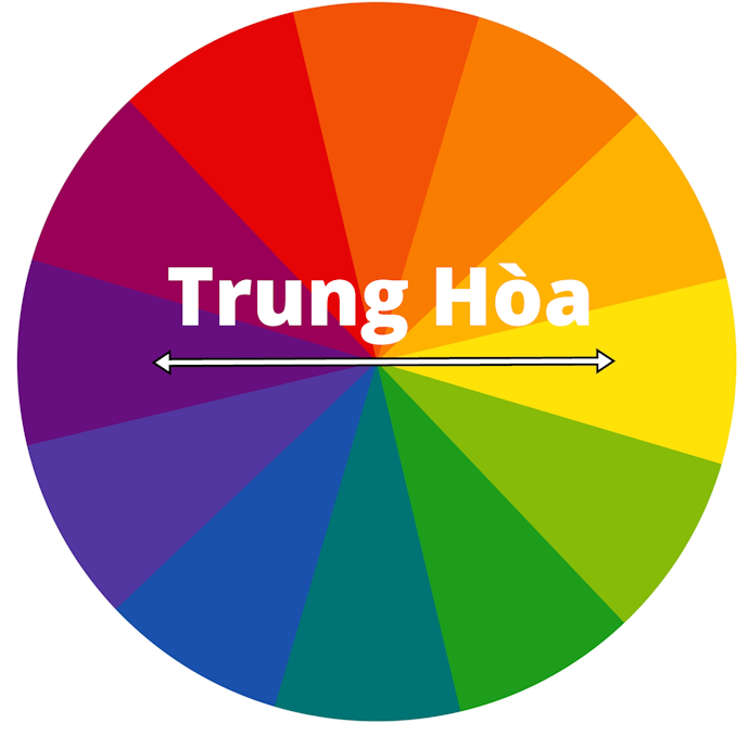 Vì Sao Dầu Gội Tím Lại Khử Vàng Được? Tóc Không Tẩy Có Dùng Được?