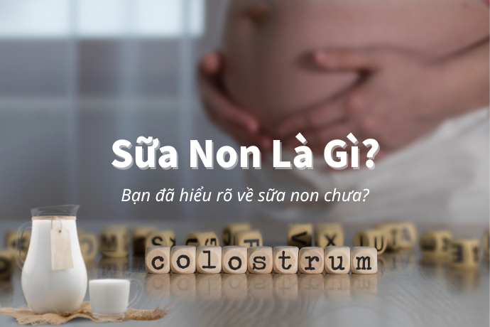 Sữa Non Là Gì? Sữa Non Có Công Dụng Gì?