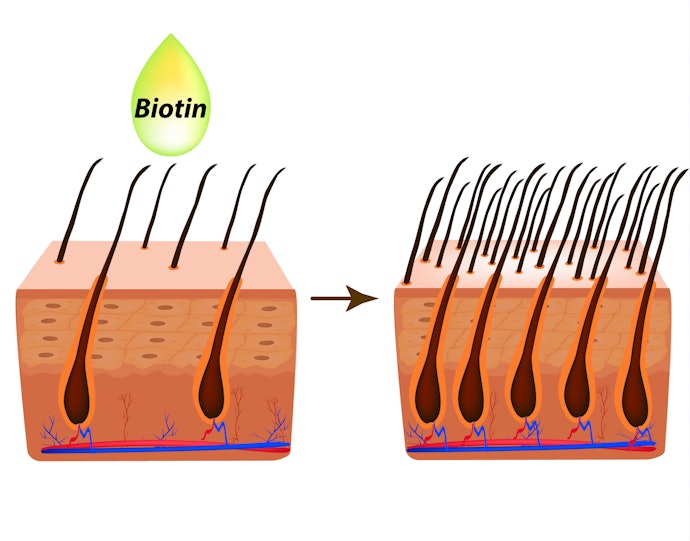 Giới Thiệu Chung Về Dầu Gội Biotin