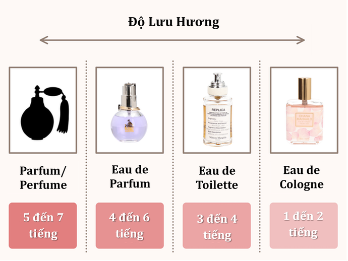 Giới Thiệu Về Các Chủng Loại Nước Hoa