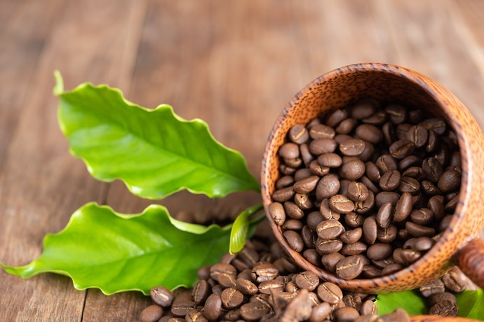 Robusta: Giá Thành Hợp Lý, Arabica: Hương Vị Đậm Đà