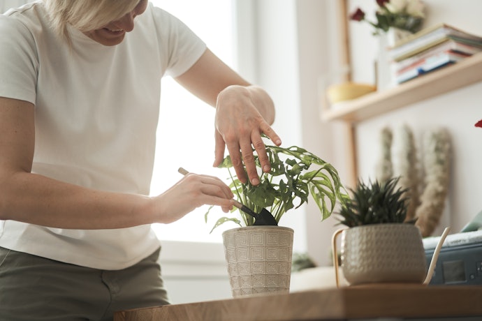 Chọn Theo Loại Chậu Hoa: Chậu Đứng, Chậu Treo, Chậu Gắn Tường