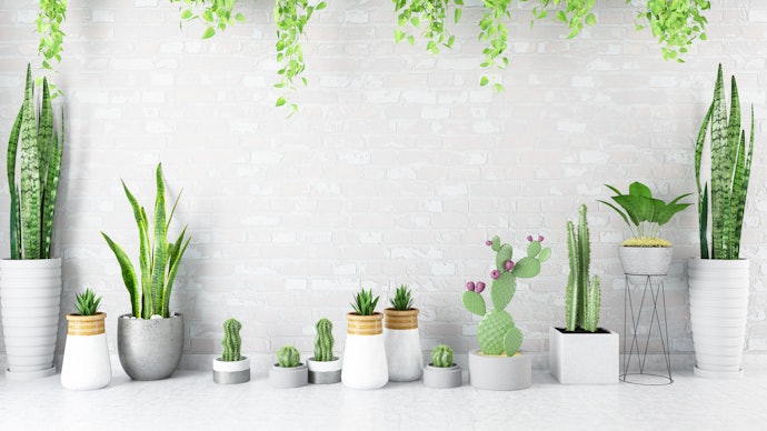 Cân Nhắc Về Kiểu Dáng