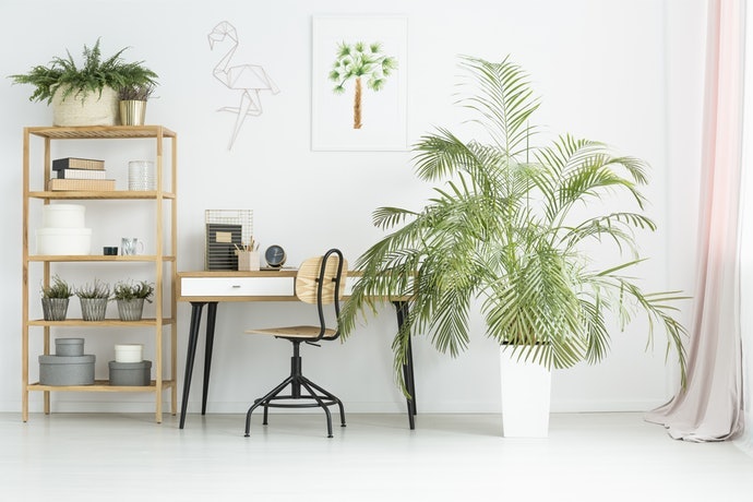 Chọn Thiết Kế Đẹp Để Sử Dụng Lâu Dài