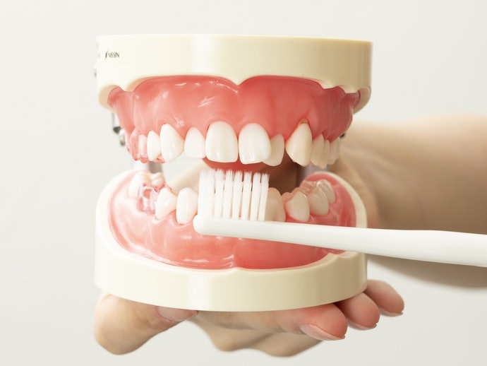 Chọn Kích Thước Đầu Bàn Chải Theo Kích Thước Răng Cửa