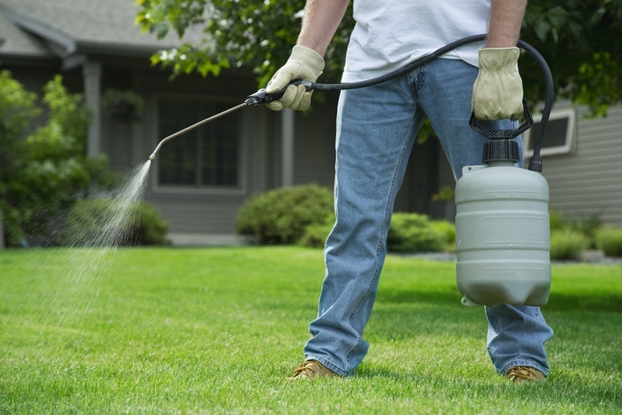 Thuốc Diệt Cỏ Chọn Lọc: An Toàn Với Cây Trồng