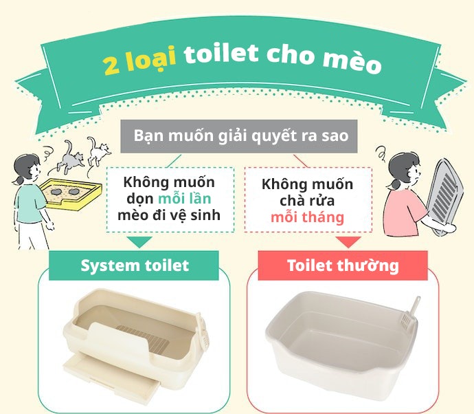 Cân Nhắc Giữa Toilet Thường Và Toilet Thông Minh
