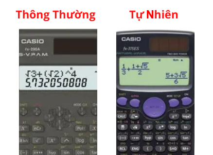 Kiểm Tra Phương Thức Hiển Thị - Nhập Liệu