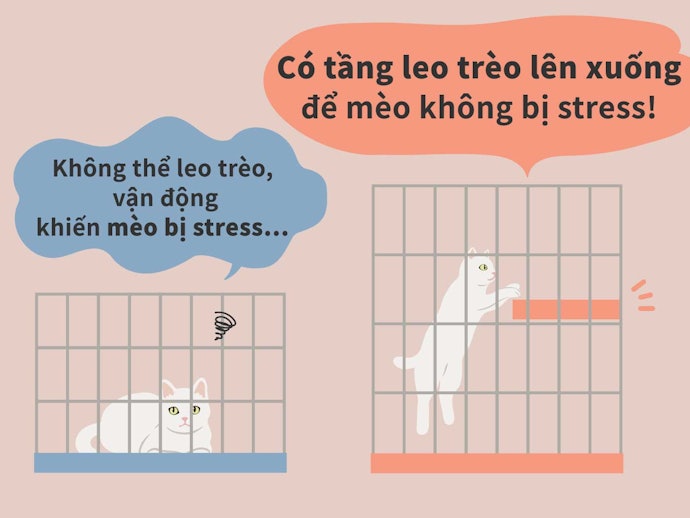 Chọn Chuồng Có Giá Hoặc Kệ Vì Mèo Thích Leo Trèo Và Nằm Trên Cao