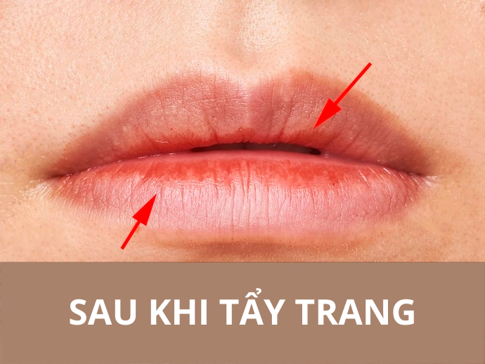 Không Nên Chọn Son Bám Quá Lâu, Khó Tẩy Trang