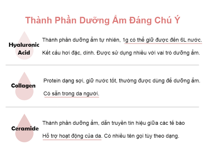 Kiểm Tra Thành Phần Dưỡng Ẩm