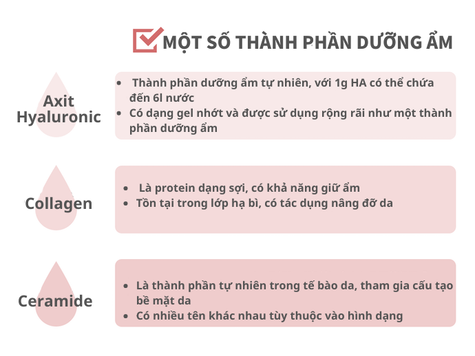 Lưu Ý Đến Thành Phần Dưỡng Ẩm Như HA, Collagen
