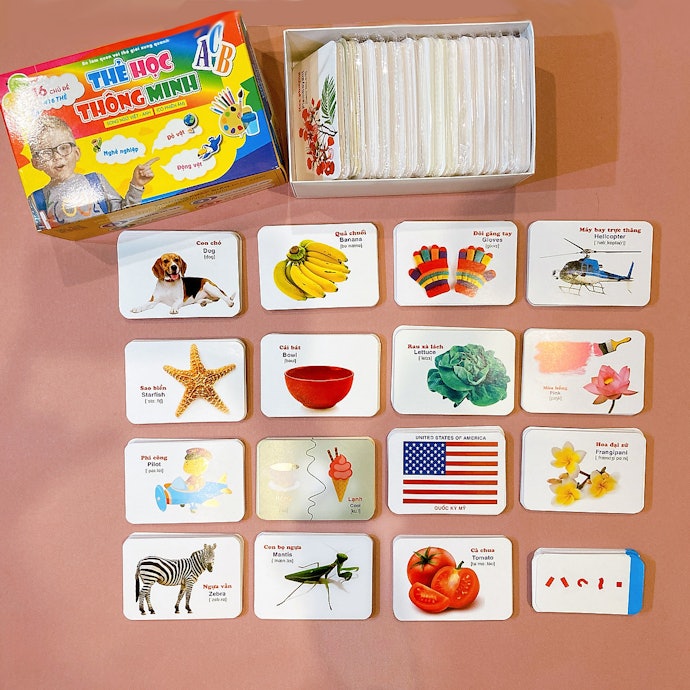 Flashcard Bao Gồm Nhiều Nội Dung Đa Dạng