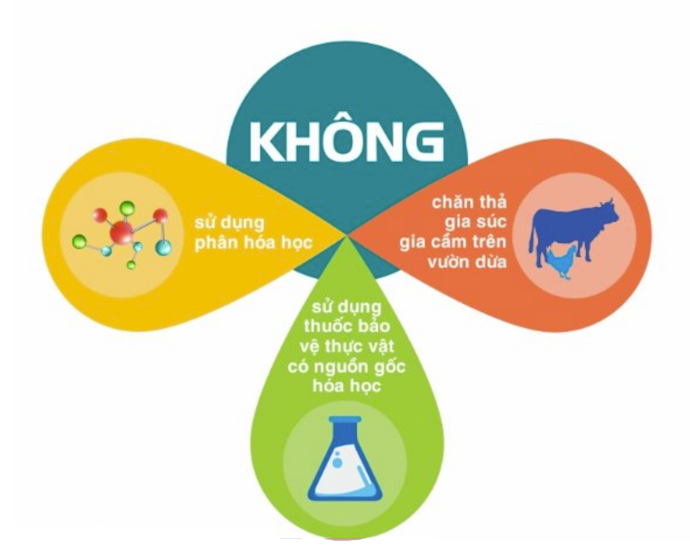 Nước Dừa Organic: Yên Tâm Hơn Khi Lựa Chọn