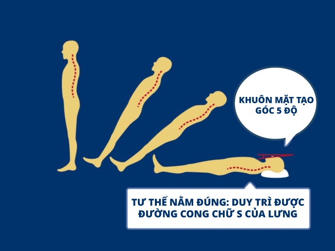 Chọn Gối Có Chiều Cao Phù Hợp: Giữ Tư Thế Nằm Chuẩn