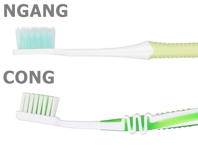Cổ Ngang Cho Răng Đều; Cổ Cong Dễ Đánh Răng Nhai