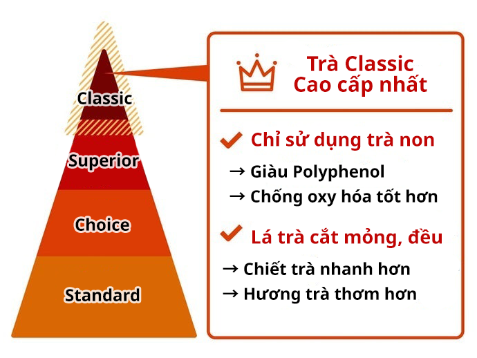 Chọn Trà Theo Phân Loại Cấp Độ