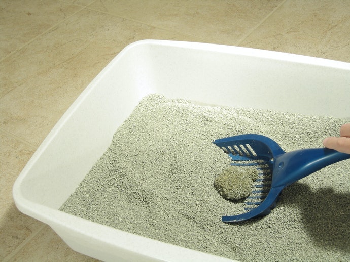 Chọn Cát Có Độ Vón Cục Tùy Vào Tần Suất Dọn Vệ Sinh