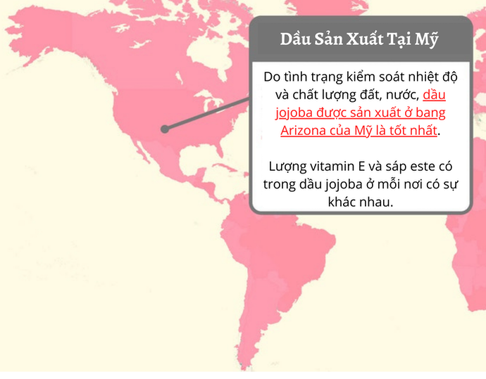 Nguồn Gốc Nguyên Liệu Ảnh Hưởng Tới Chất Lượng Dầu