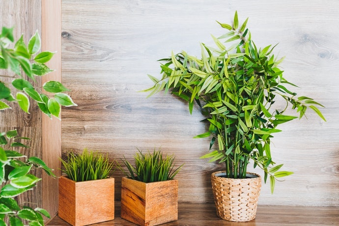 Dễ Dàng Trang Trí Với Cây Có Lõi Dây Kẽm