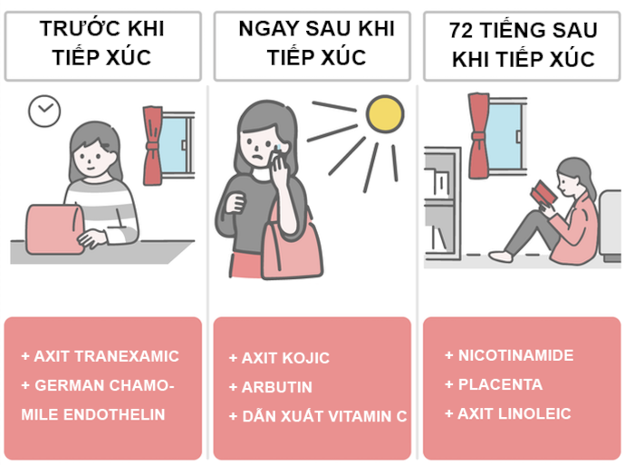 Chọn Thành Phần Hoạt Chất Theo Thời Điểm: Trước Và Sau Khi Tiếp Xúc Tia UV