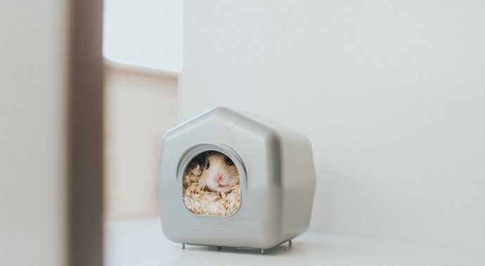Tự Chọn Những Đồ Dùng Đi Kèm Nếu Thích Bài Trí