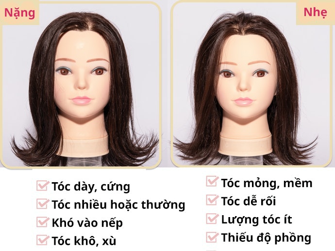 Chọn Kết Cấu Theo Chất Tóc Mỏng Hay Dày